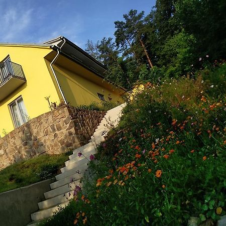 Mezi Stromy Hotell Horakov Exteriör bild
